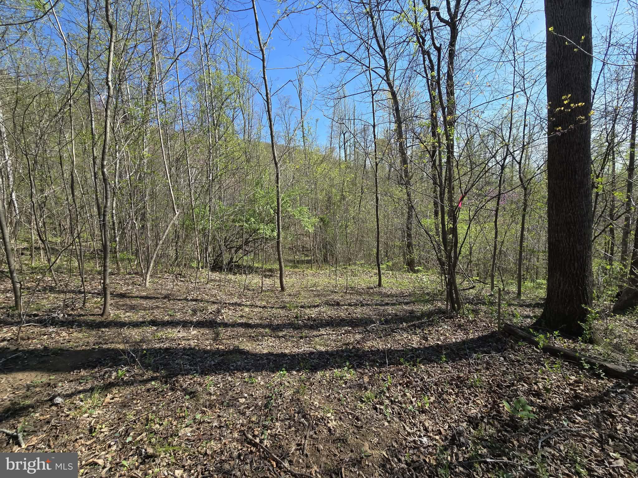 Lot 1 South Ft Valley Road Madison, VA 22727 - Photo 7 of 17 Level building spot with beautiful mountain views
