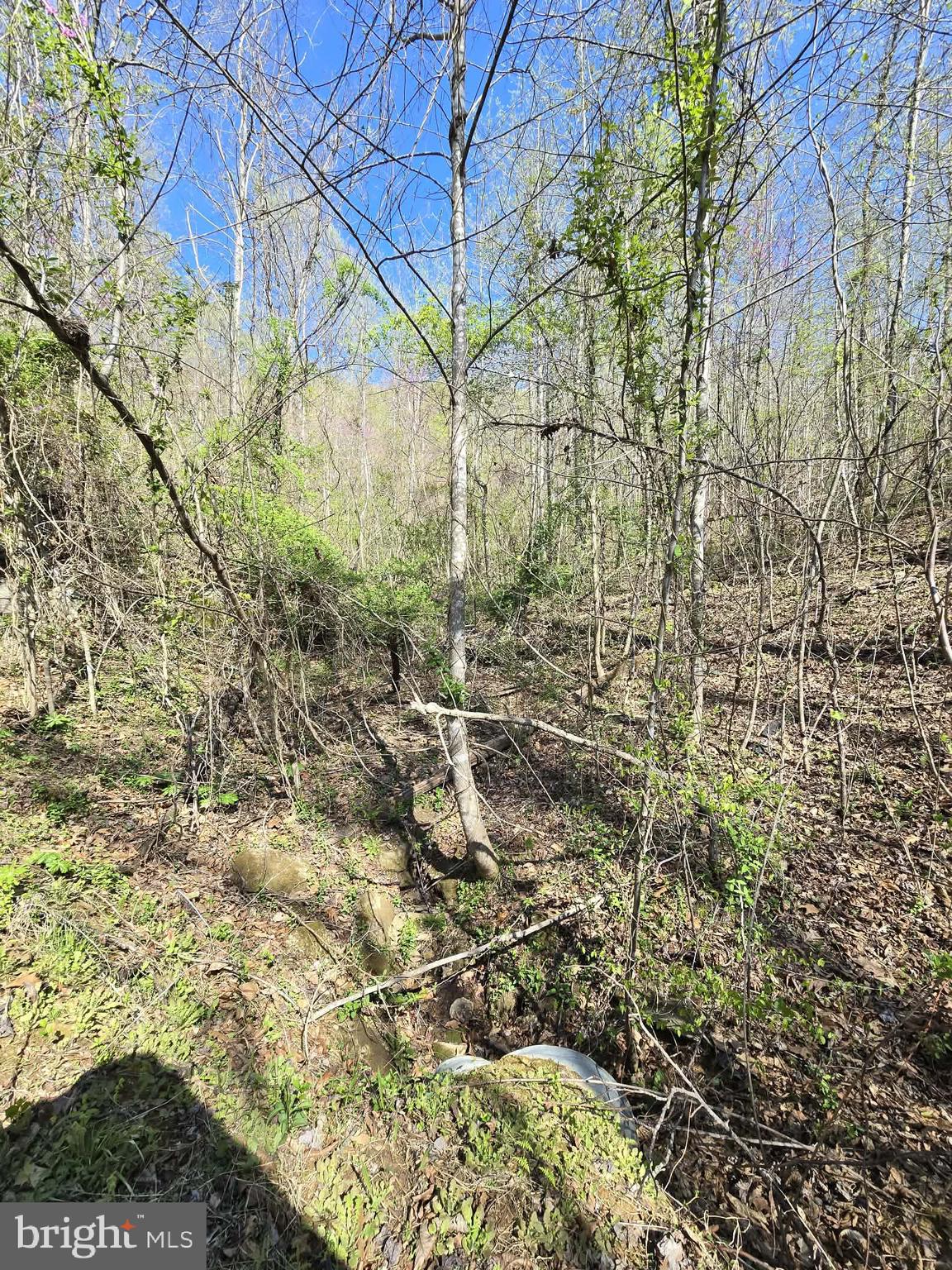 Lot 1 South Ft Valley Road Madison, VA 22727 - Photo 8 of 17