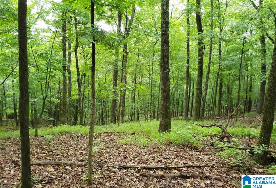 0 Signal Trail, Unit 7 Pelham, AL 35124 - Photo 2 of 4