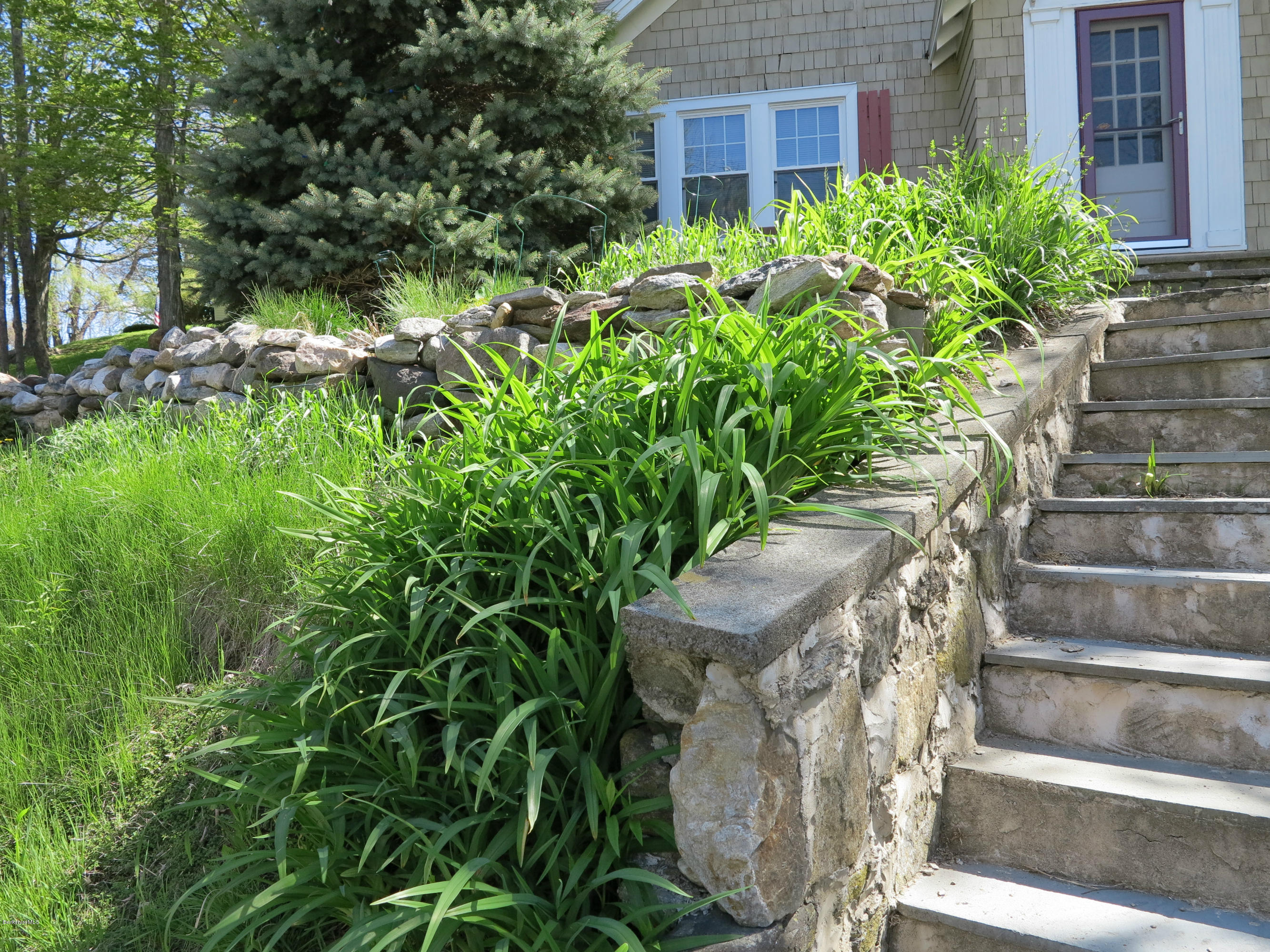 4 Tyringham Road Monterey, MA 01245 - Photo 16 of 26 a view of a yard with plants