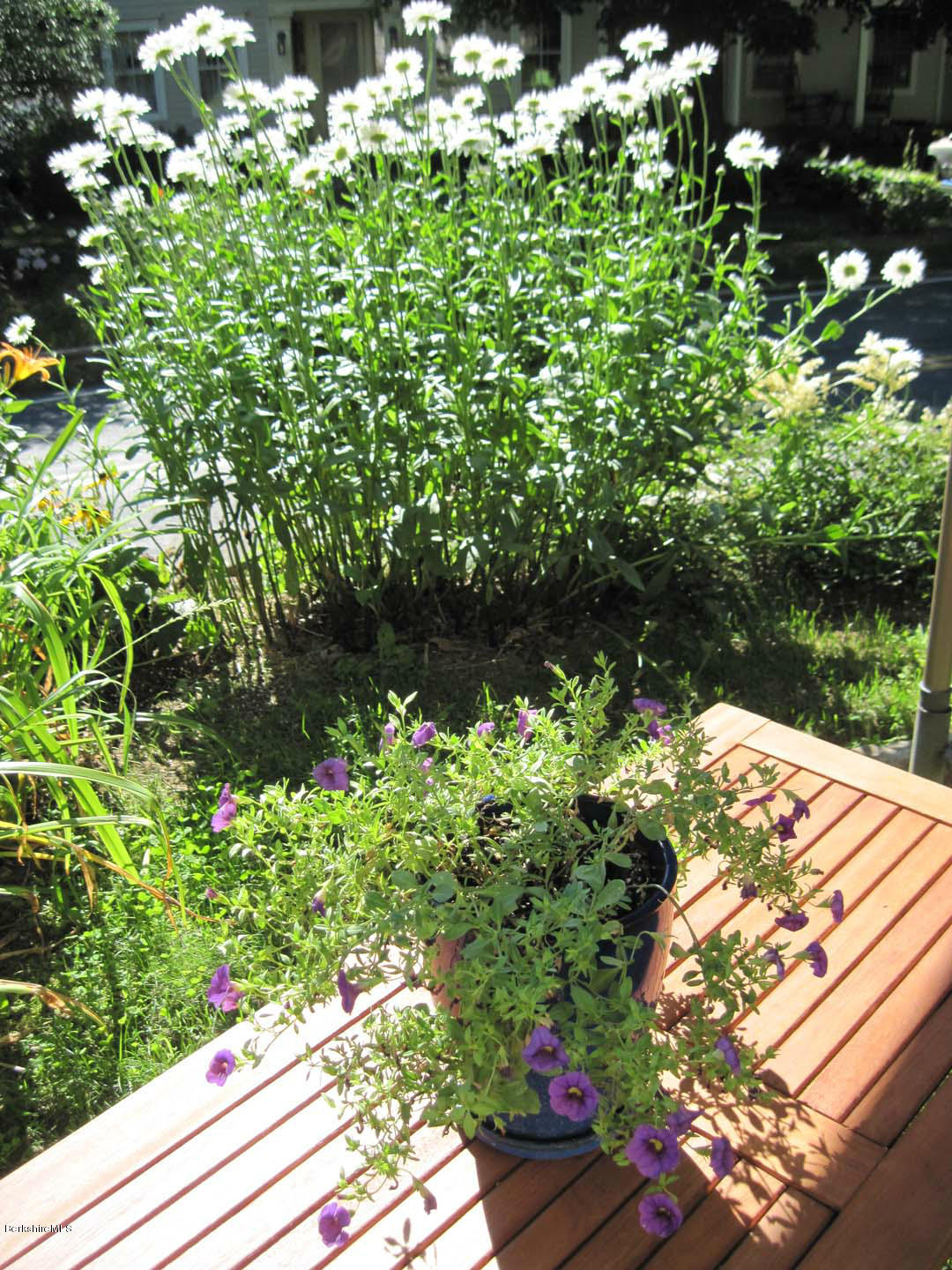 4 Tyringham Road Monterey, MA 01245 - Photo 18 of 26 a backyard of a house with lots of green space and a fountain