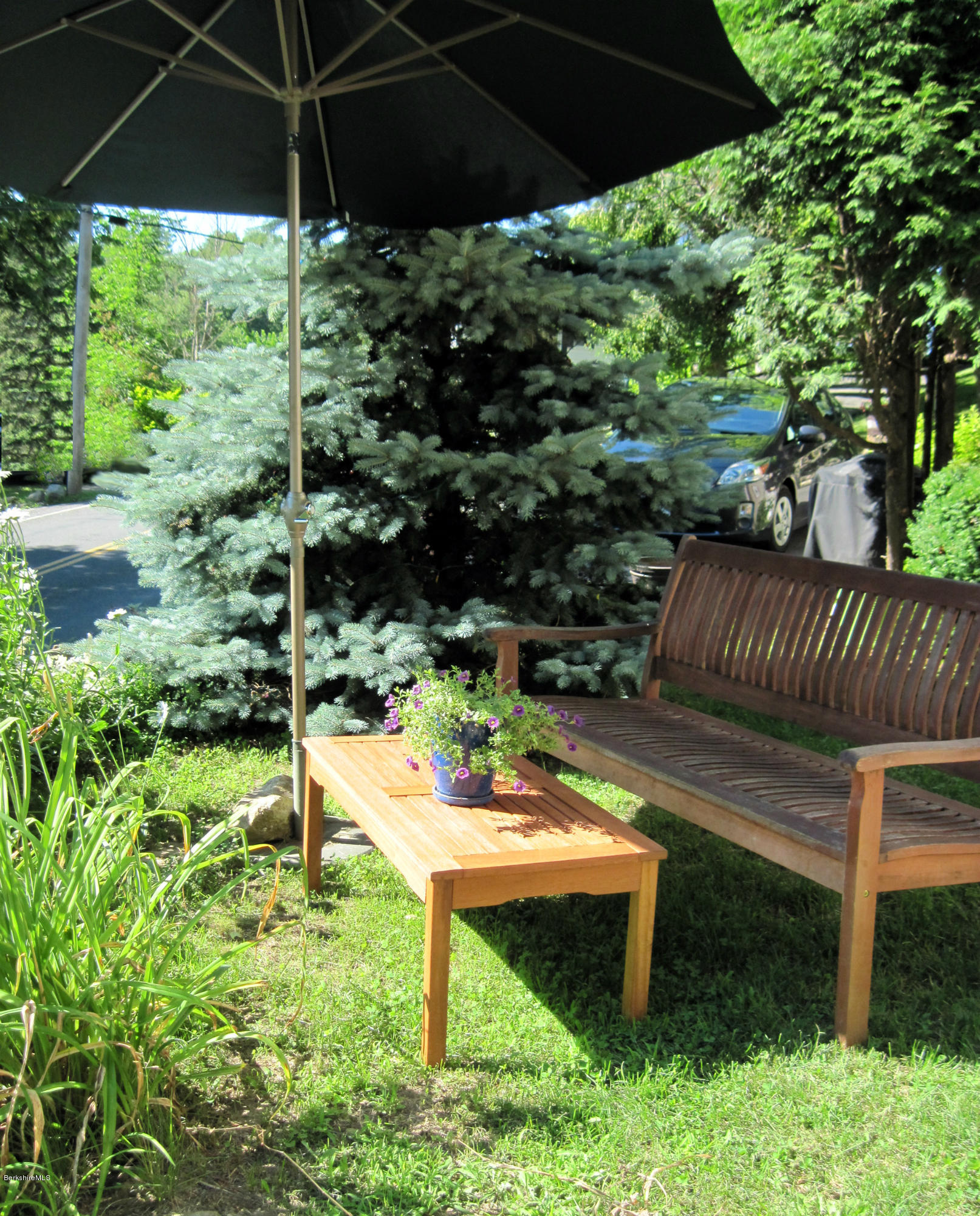4 Tyringham Road Monterey, MA 01245 - Photo 19 of 26 a view of a backyard with plants