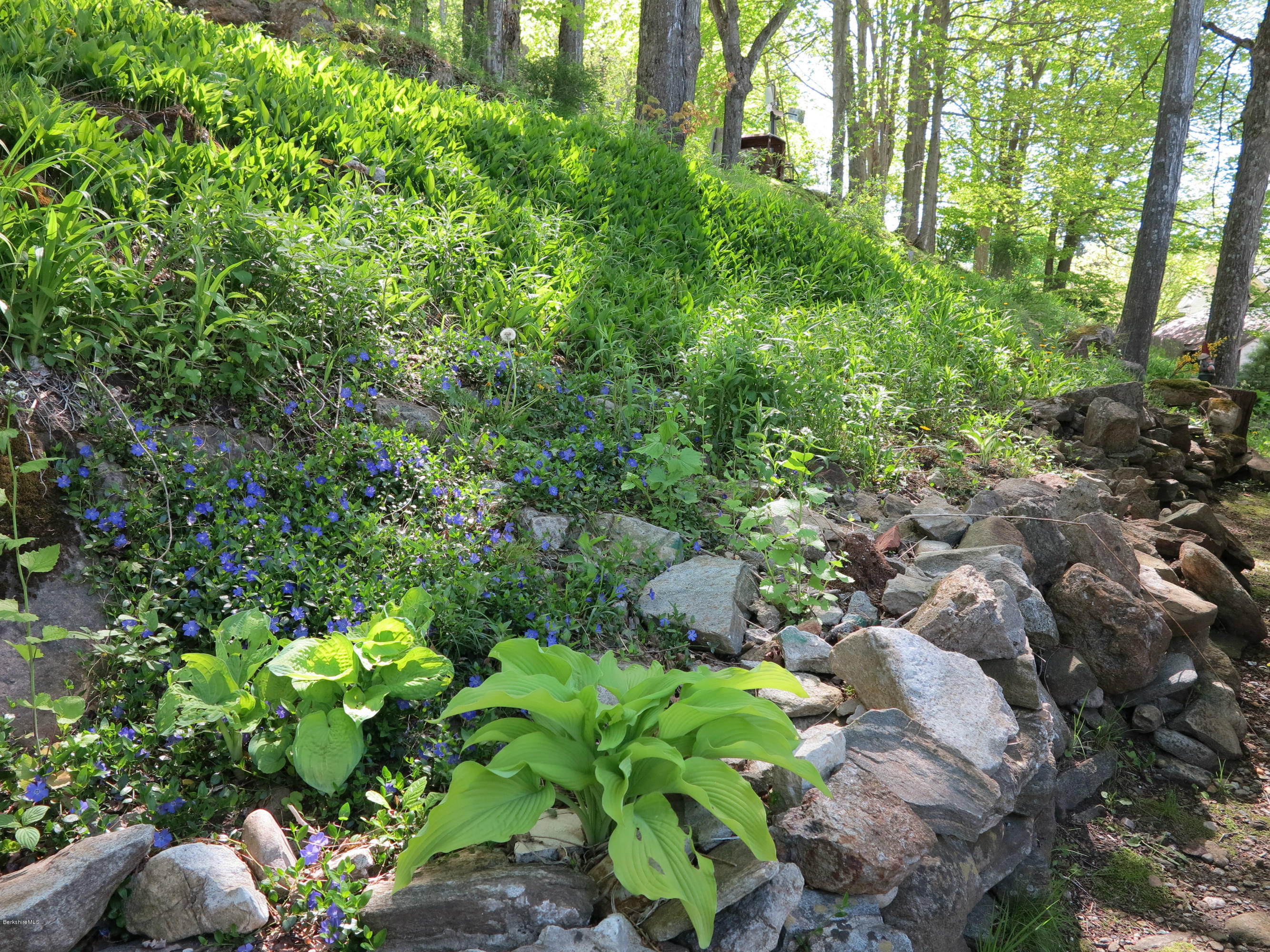 4 Tyringham Road Monterey, MA 01245 - Photo 21 of 26 a backyard of a house with lots of green space