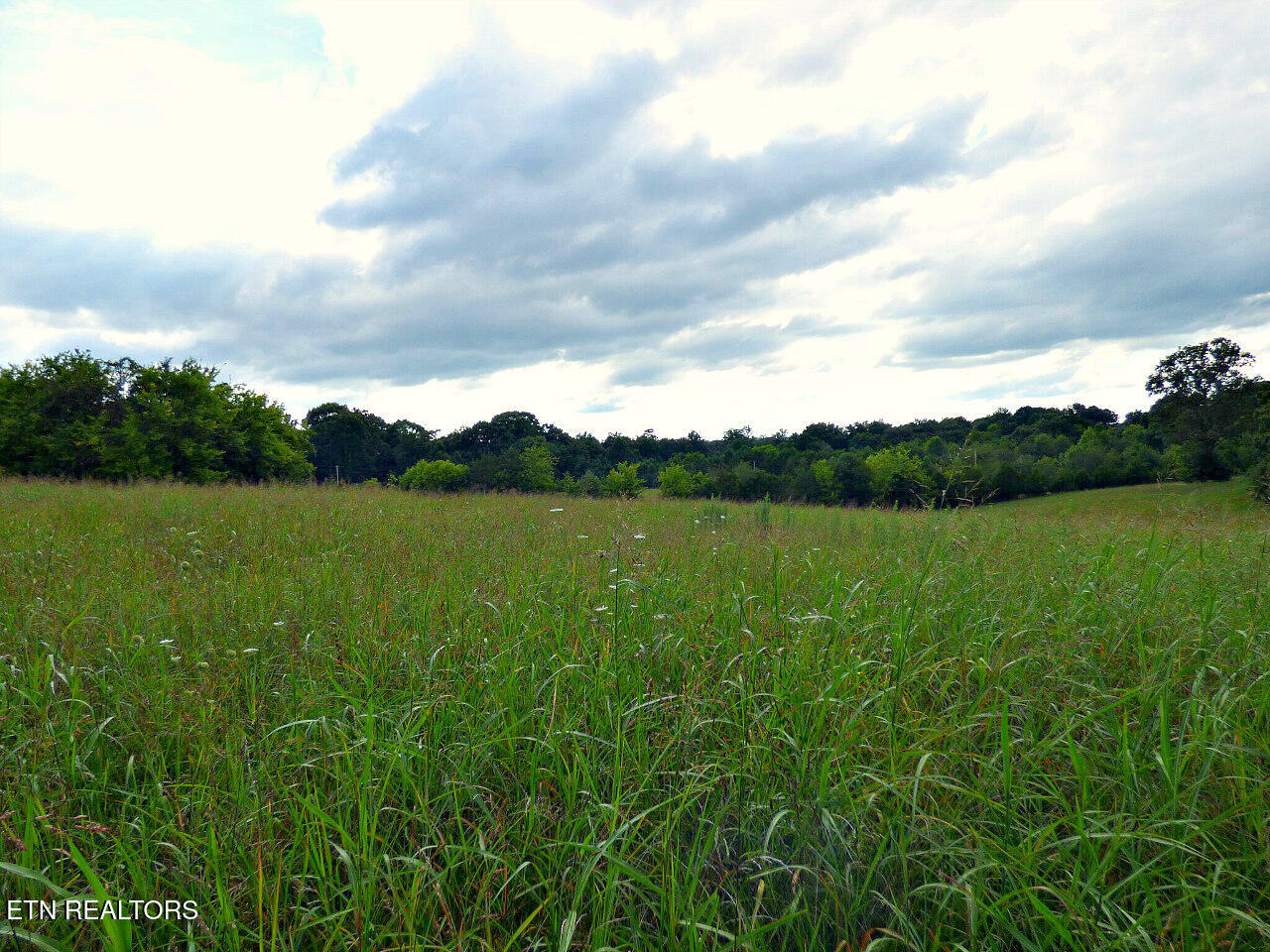 452 Wells Spring Road Dandridge, TN 37725 - Photo 7 of 16 P1310585