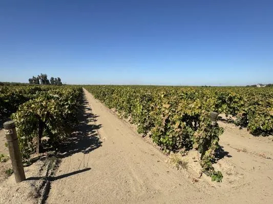 a view of a building from a balcony