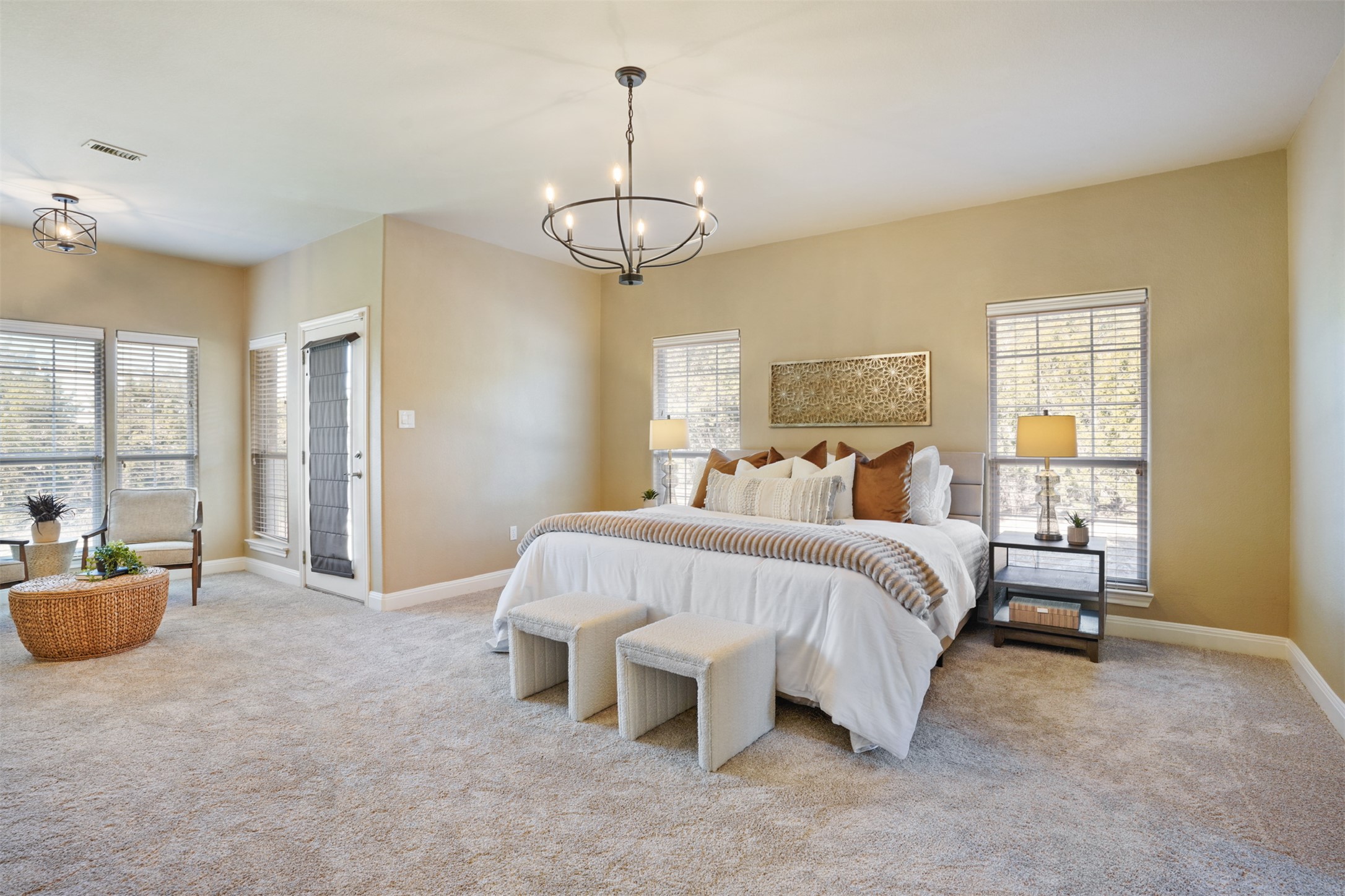 710 Timarron Leander, TX 78641 - Photo 16 of 22