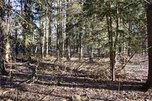 Level to mostly level home site