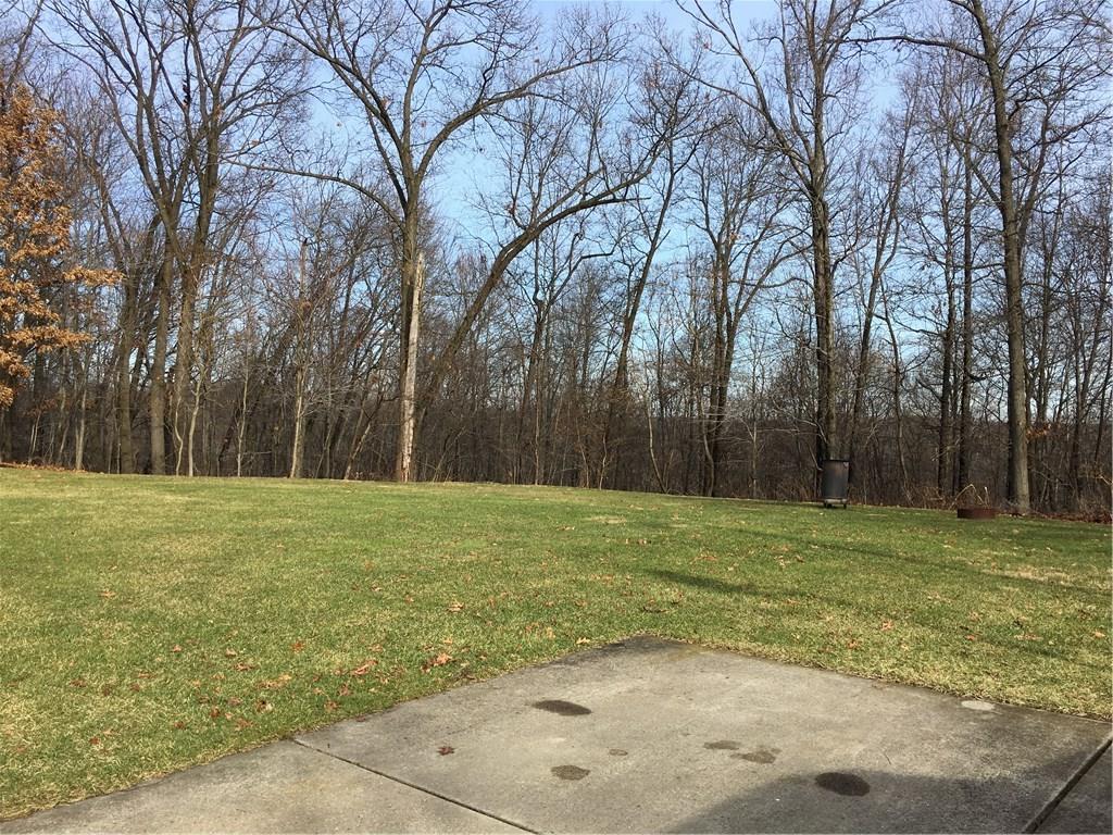 155 Woodcrest Road Butler, PA 16002 - Photo 22 of 24 Just a section of the rear yard