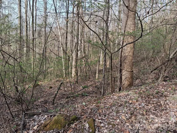 $145,200 | Tbd Bel Air Road, Unit 1819 21 23 2728 3133, Cullowhee, NC 28723