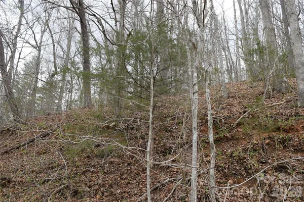 $145,200 | Tbd Bel Air Road, Unit 1819 21 23 2728 3133, Cullowhee, NC 28723