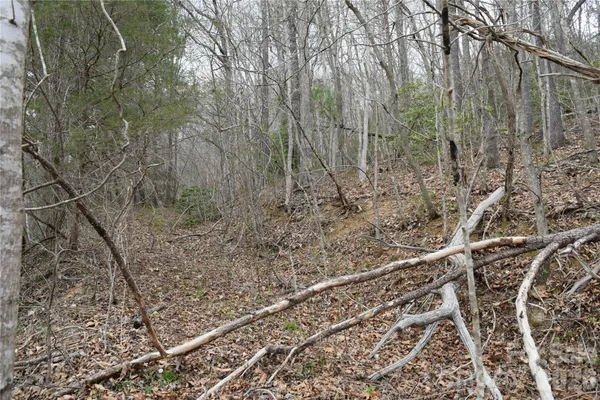 $145,200 | Tbd Bel Air Road, Unit 1819 21 23 2728 3133, Cullowhee, NC 28723