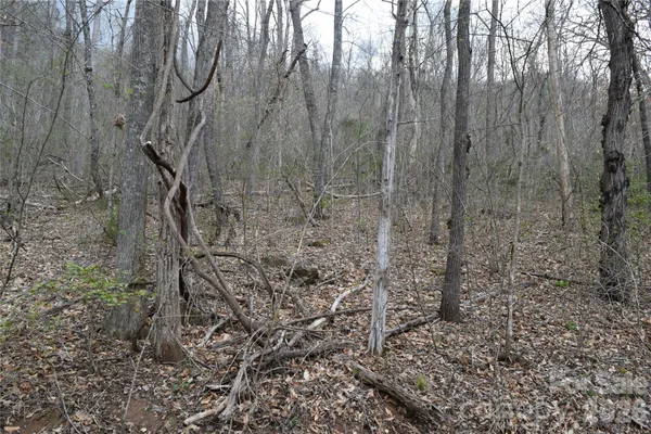 $145,200 | Tbd Bel Air Road, Unit 1819 21 23 2728 3133, Cullowhee, NC 28723