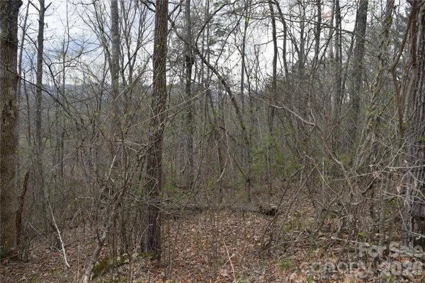 $145,200 | Tbd Bel Air Road, Unit 1819 21 23 2728 3133, Cullowhee, NC 28723