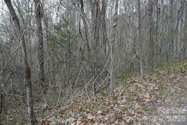 $145,200 | Tbd Bel Air Road, Unit 1819 21 23 2728 3133, Cullowhee, NC 28723