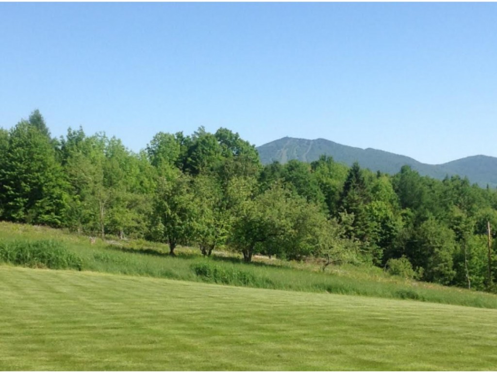 336 High Ridge Road Burke, VT 05871 - Photo 29 of 31 Gallery Image 29