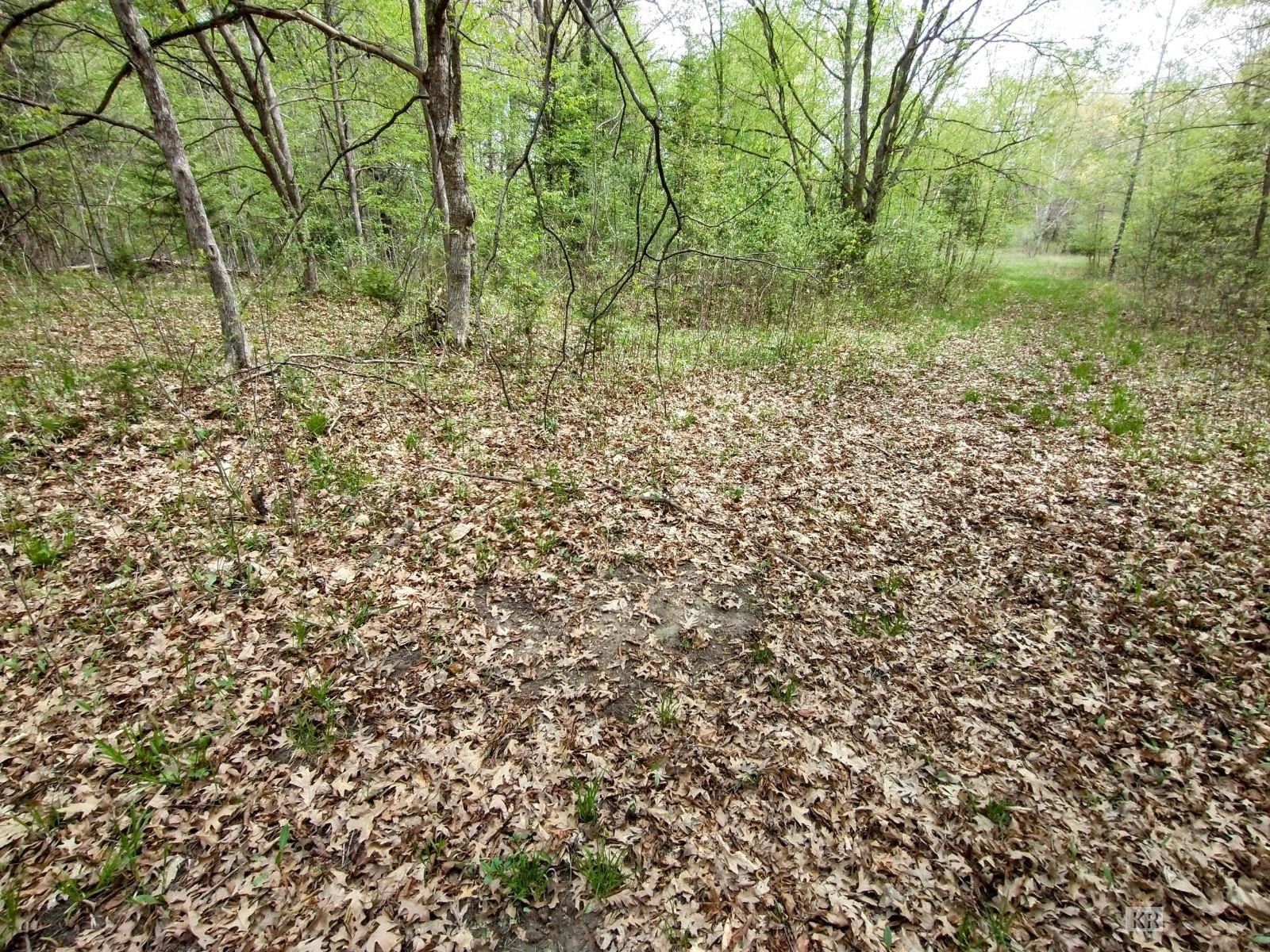 12451 Maple Valley Road Gladwin, MI 48624 - Photo 48 of 95
