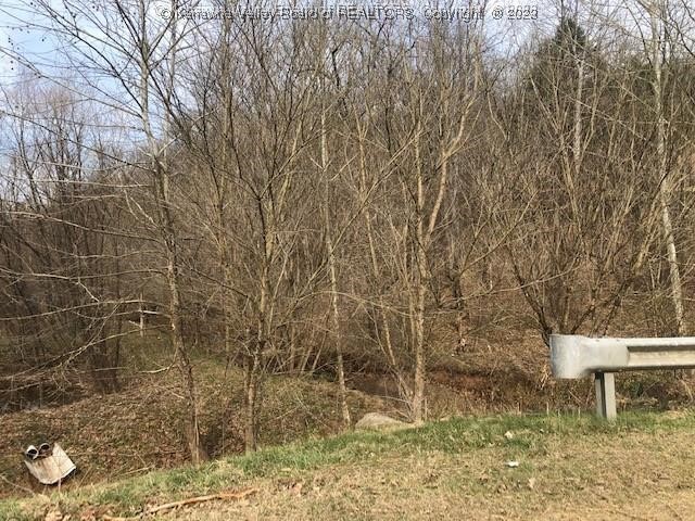 1576 Big Run Road Le Roy, WV 25252 - Photo 4 of 6 Gallery Image 4