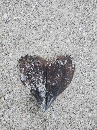 $2,100 | 403 63rd Street, Holmes Beach, FL 34217