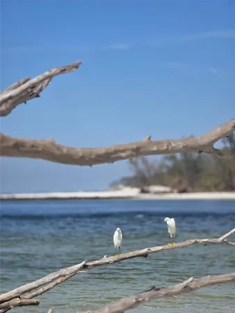 $2,100 | 403 63rd Street, Holmes Beach, FL 34217