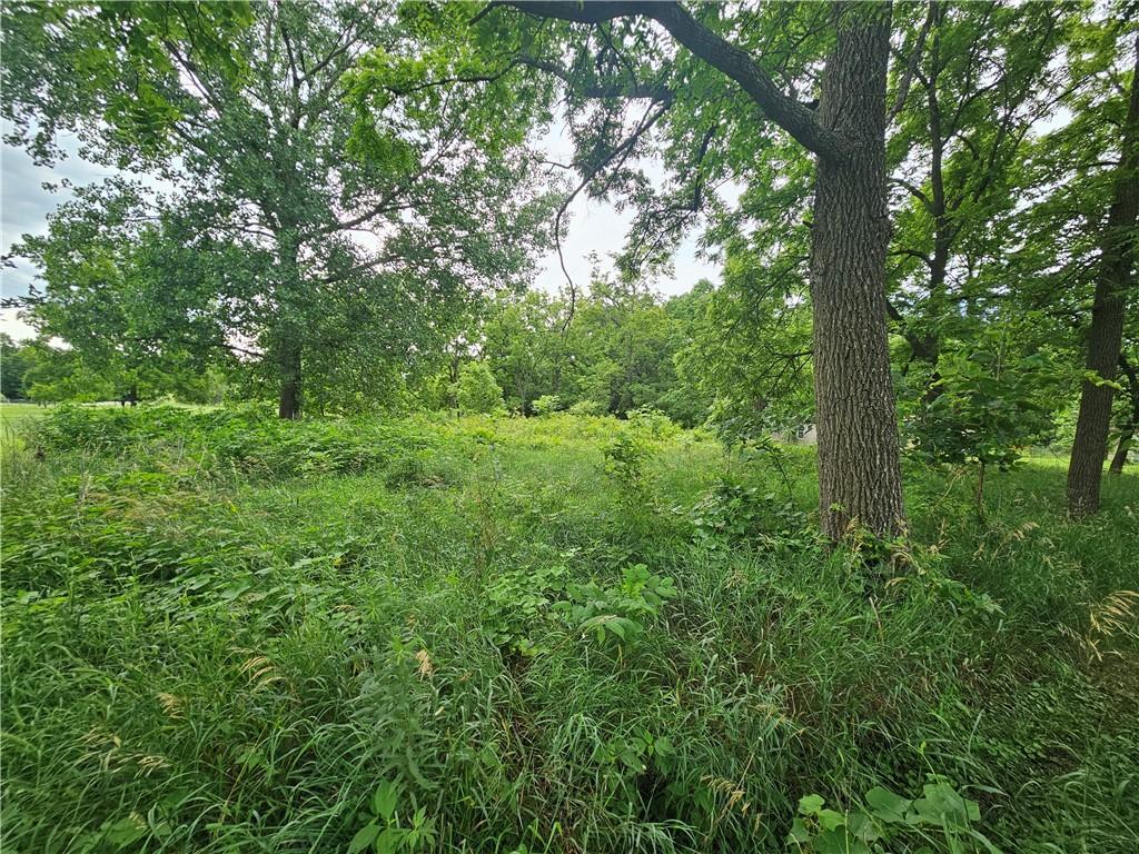 East Arthur Street Hamilton, MO 64644 - Photo 7 of 9