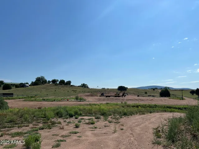 an aerial view of field with trees