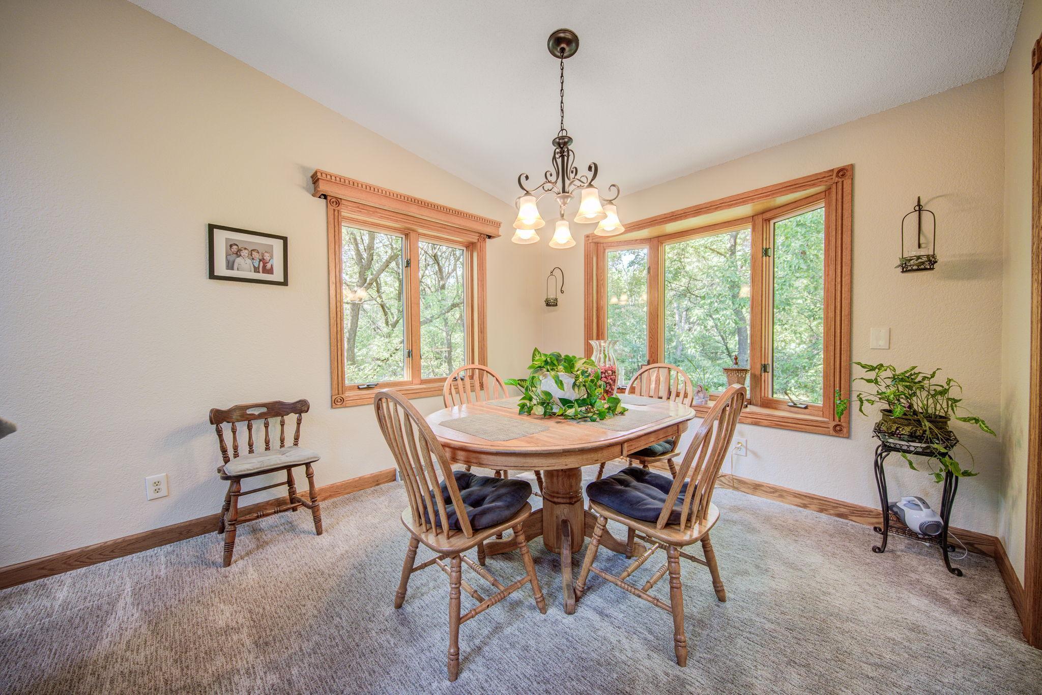 289 Rohavic Lane Lino Lakes, MN 55014 - Photo 3 of 22 Gallery Image 3