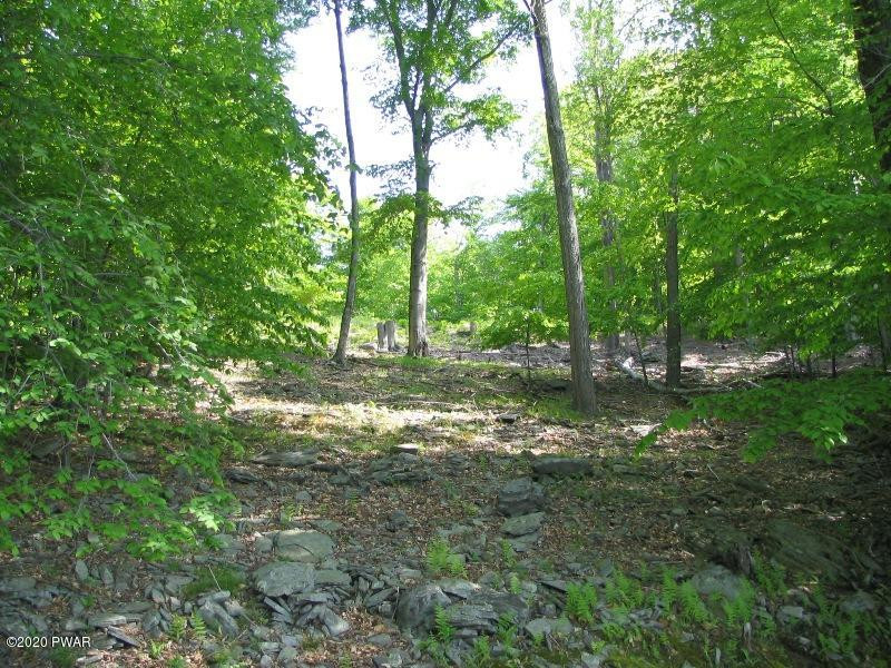 20 C Boat House Road Lake Ariel, PA 18436 - Photo 9 of 27
