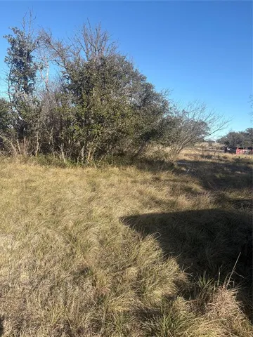 a large yard with lots of trees