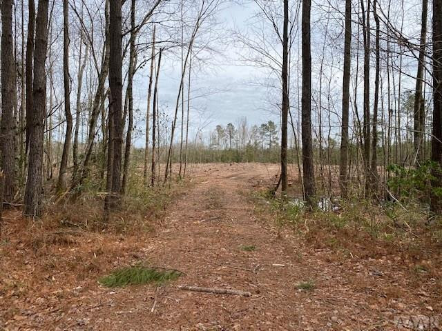 Tbd Holly Springs Church Road Williamston, NC 27892 - Photo 1 of 17 Main View