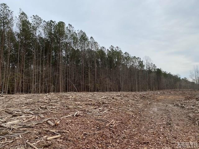 Tbd Holly Springs Church Road Williamston, NC 27892 - Photo 12 of 17