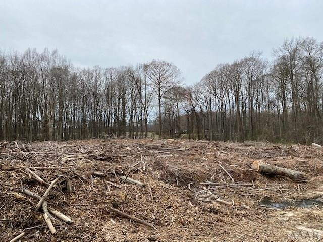 Tbd Holly Springs Church Road Williamston, NC 27892 - Photo 13 of 17