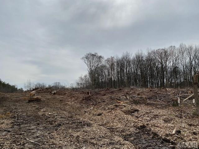 Tbd Holly Springs Church Road Williamston, NC 27892 - Photo 14 of 17