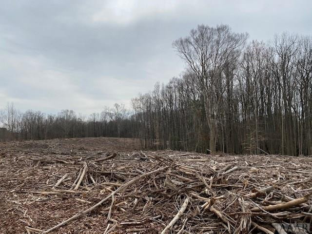 Tbd Holly Springs Church Road Williamston, NC 27892 - Photo 15 of 17