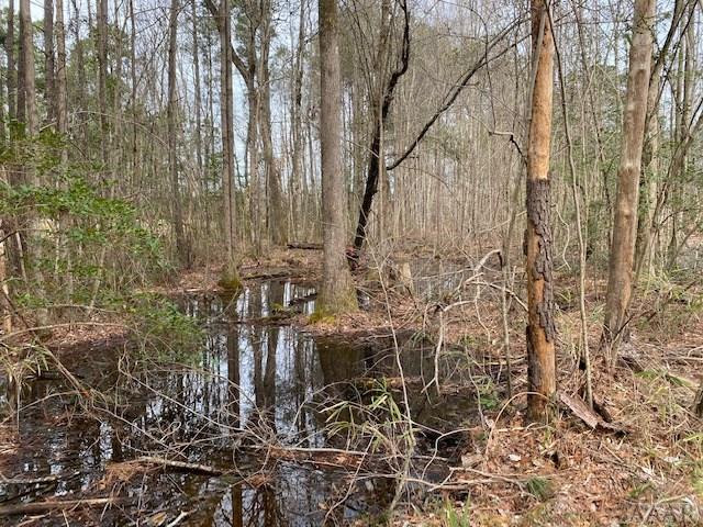 Tbd Holly Springs Church Road Williamston, NC 27892 - Photo 16 of 17