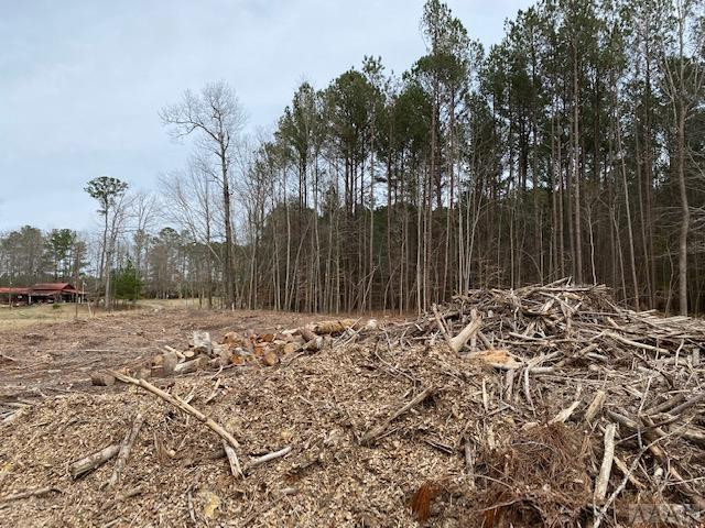 Tbd Holly Springs Church Road Williamston, NC 27892 - Photo 2 of 17