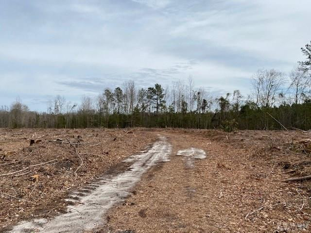 Tbd Holly Springs Church Road Williamston, NC 27892 - Photo 4 of 17