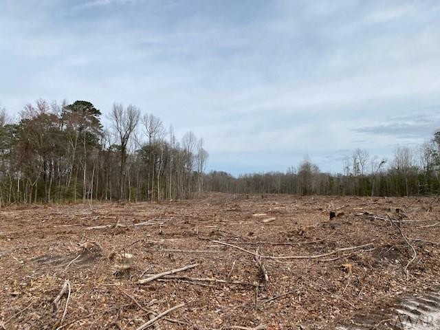 Tbd Holly Springs Church Road Williamston, NC 27892 - Photo 5 of 17