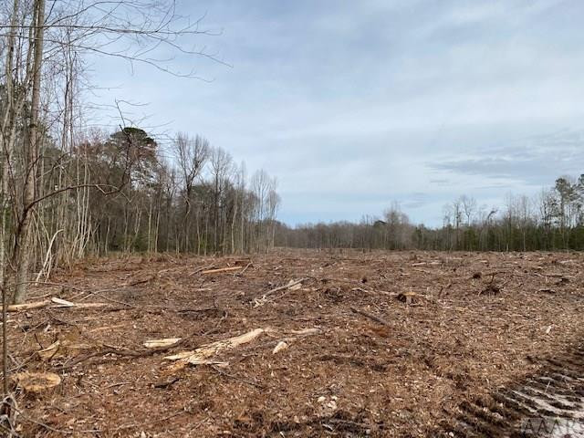 Tbd Holly Springs Church Road Williamston, NC 27892 - Photo 6 of 17