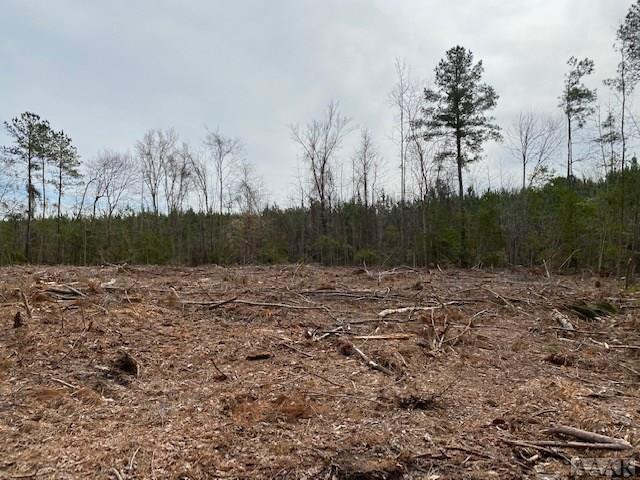 Tbd Holly Springs Church Road Williamston, NC 27892 - Photo 7 of 17