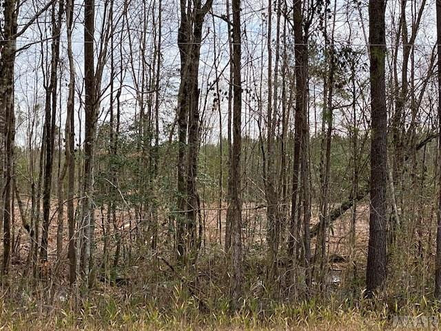 Tbd Holly Springs Church Road Williamston, NC 27892 - Photo 8 of 17