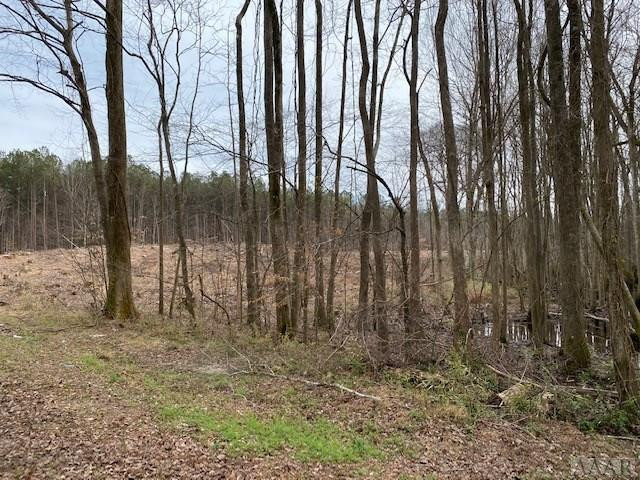 Tbd Holly Springs Church Road Williamston, NC 27892 - Photo 9 of 17