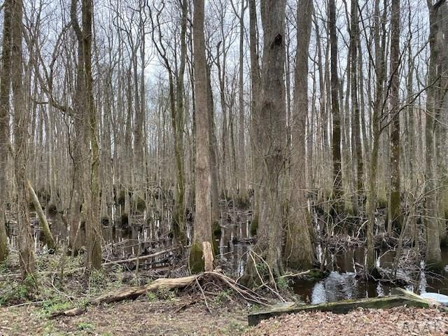 Tbd Holly Springs Church Road Williamston, NC 27892 - Photo 10 of 17