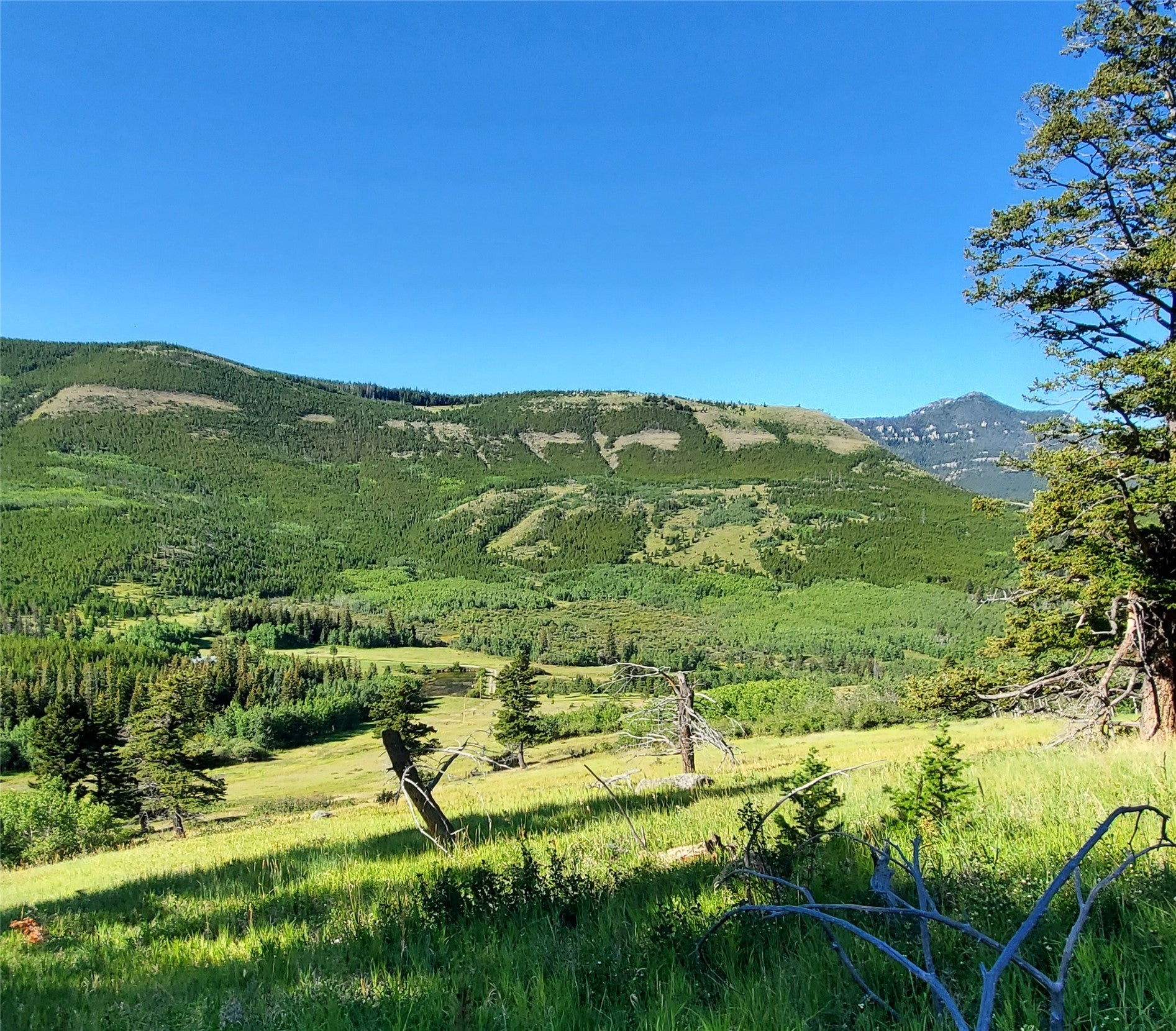 3384 Joslin Creek Road Augusta, MT 59410 - Photo 10 of 17 Gallery Image 10