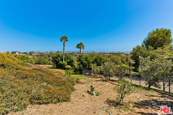 a view of a tree with a yard