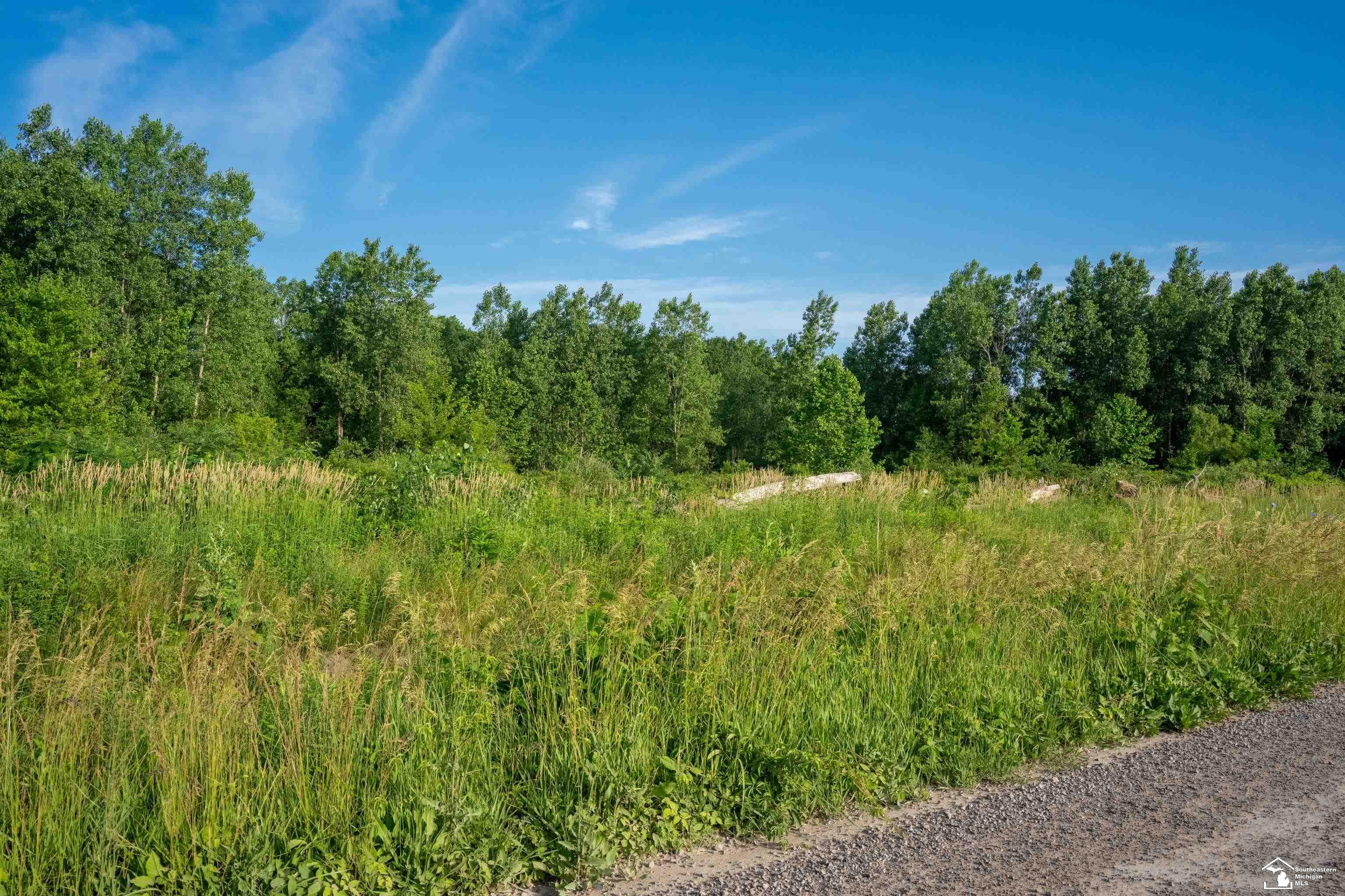 Parcel D Timbers Road Carleton, MI 48117 - Photo 17 of 20