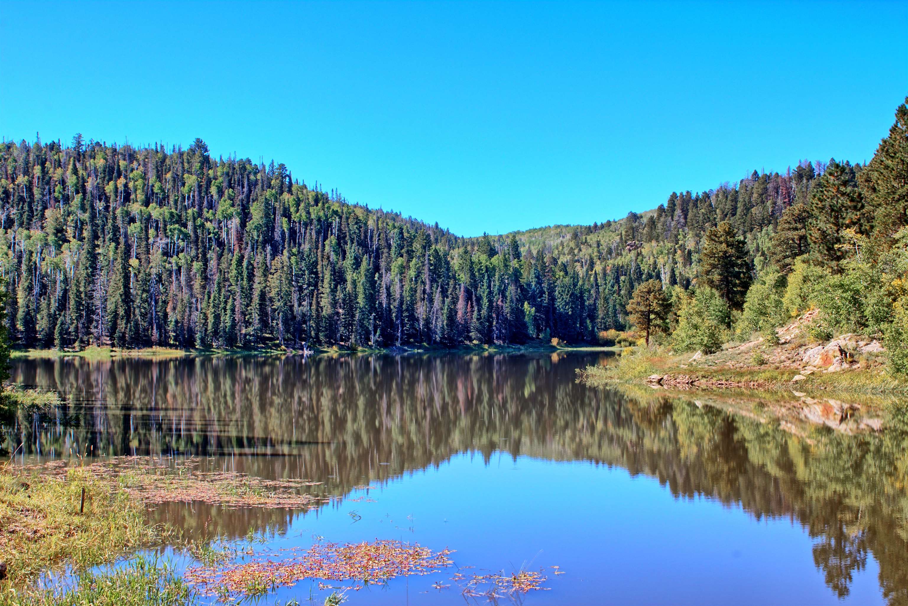 Enochs Lake Whitewater, CO 81527 - Photo 1 of 22 a view of lake