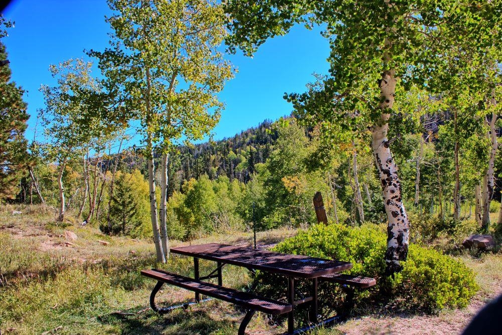 Enochs Lake Whitewater, CO 81527 - Photo 14 of 22 a view of a backyard with table and chairs