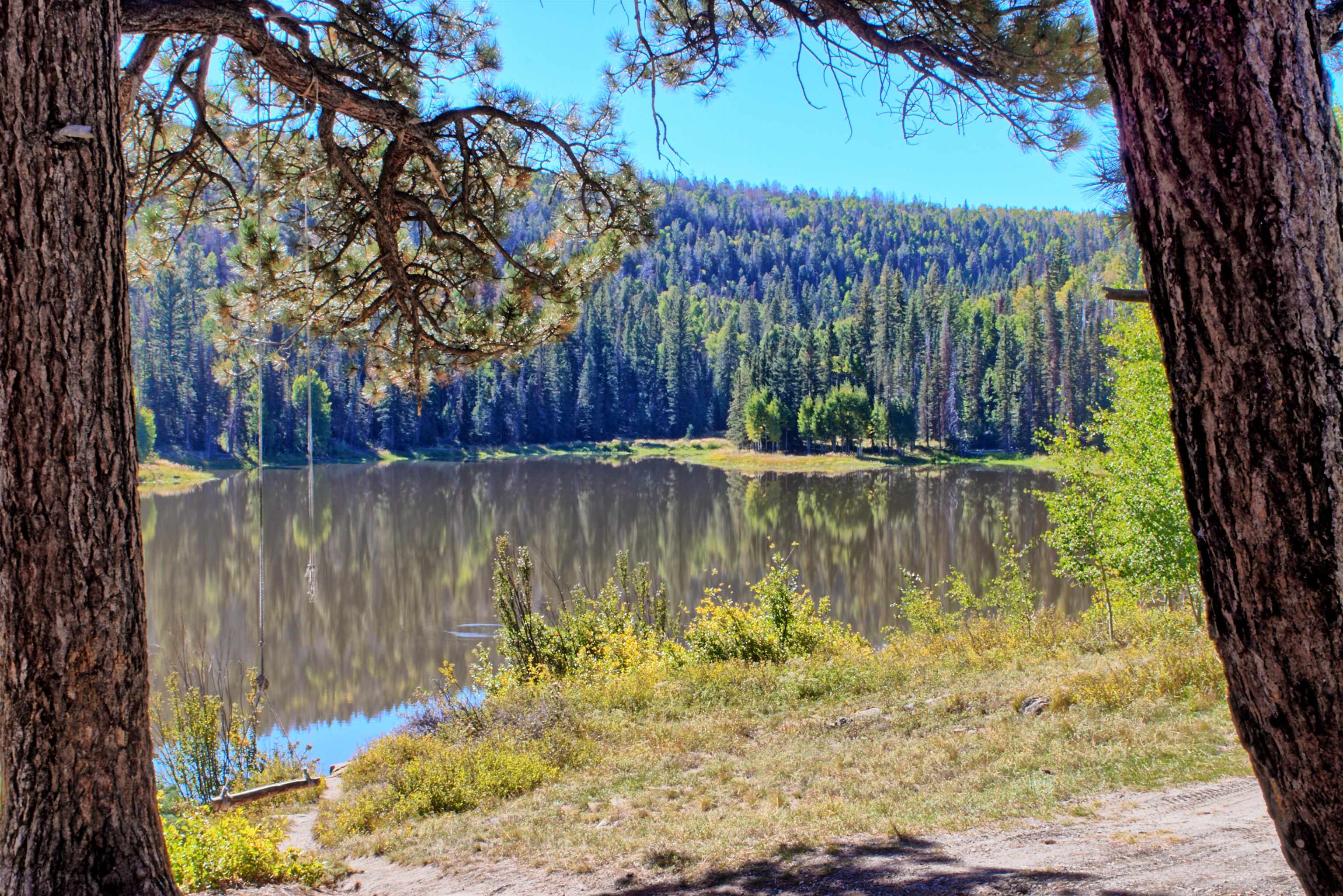 Enochs Lake Whitewater, CO 81527 - Photo 2 of 22 a view of lake