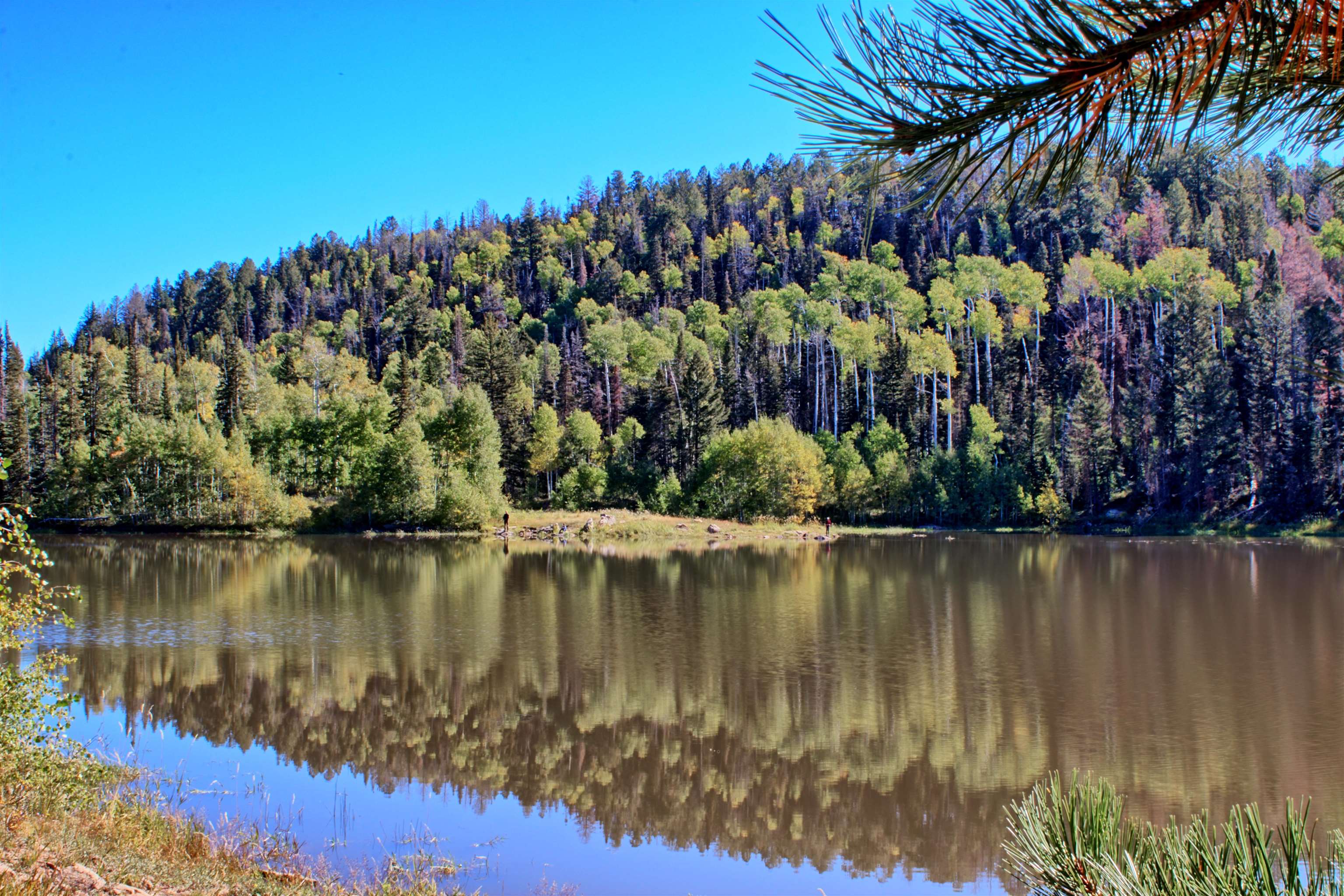 Enochs Lake Whitewater, CO 81527 - Photo 3 of 22 a view of a lake with a big yard