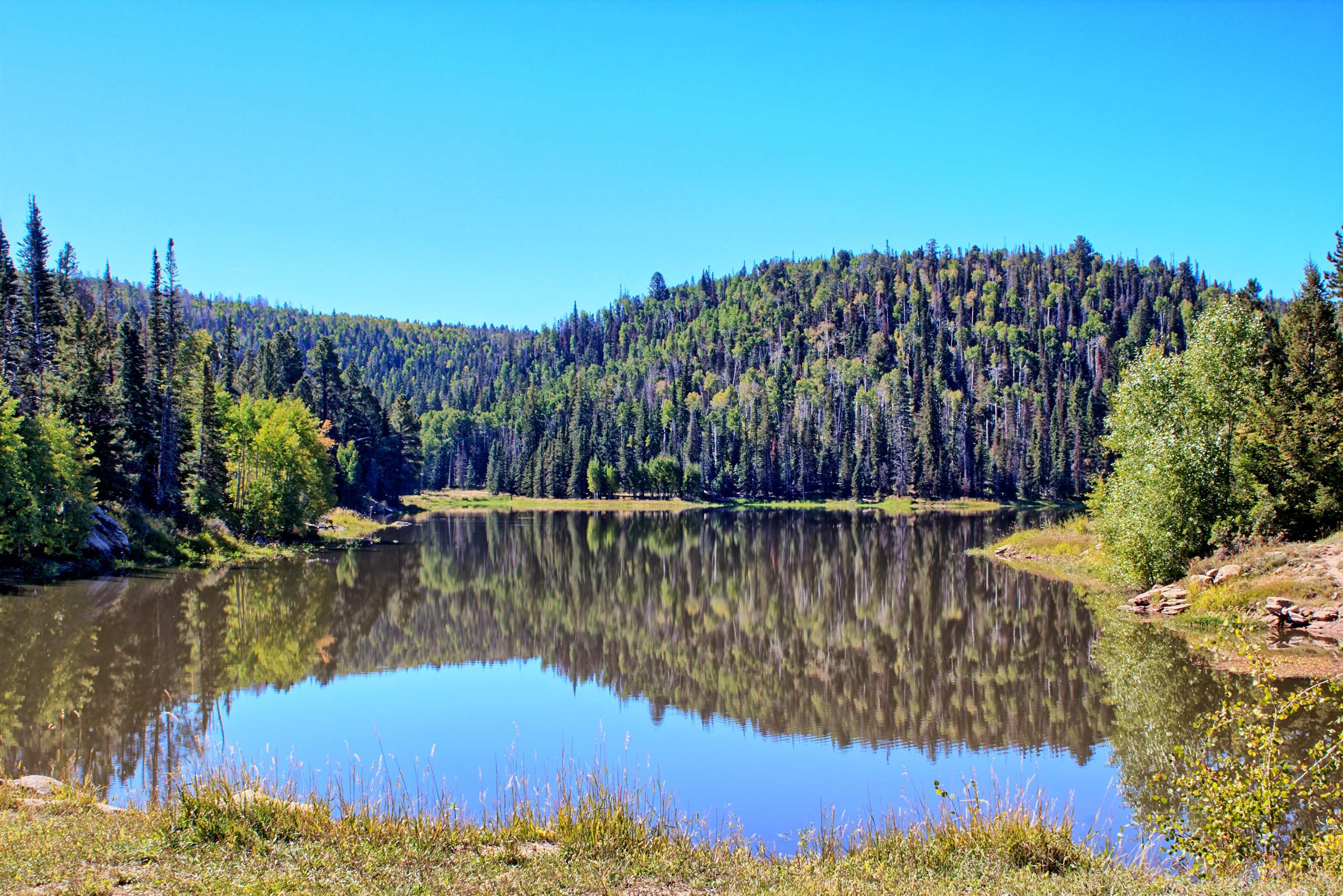 Enochs Lake Whitewater, CO 81527 - Photo 6 of 22 a view of swimming pool from a lake